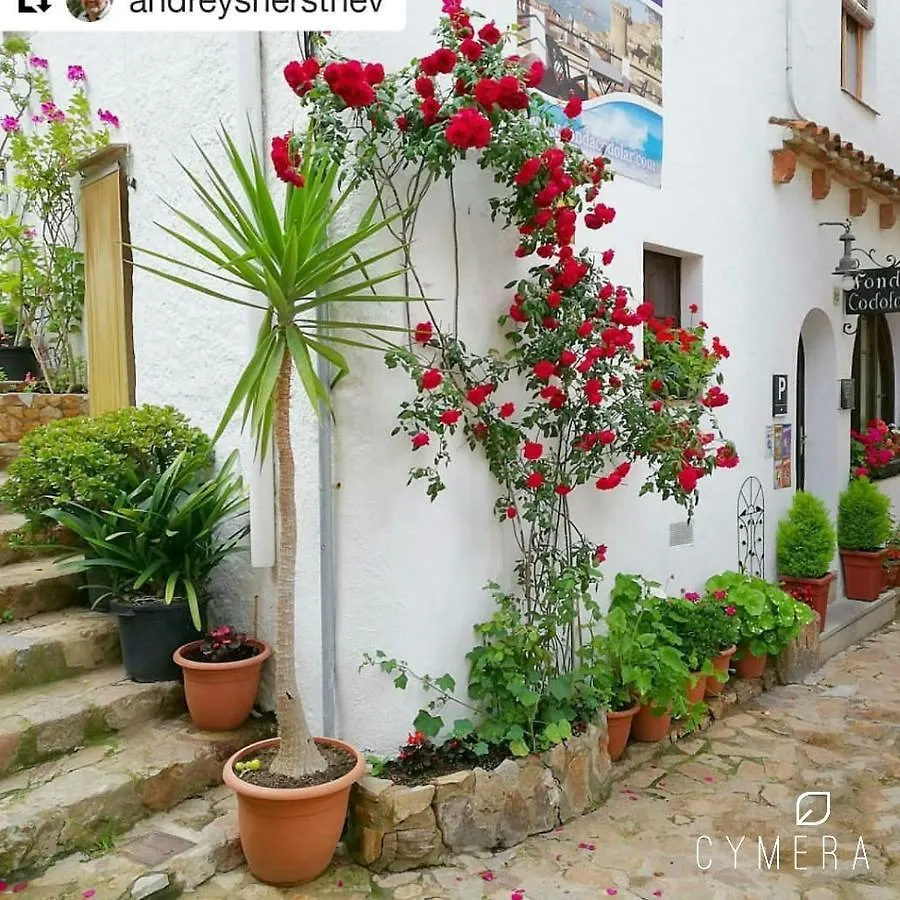 TOSSA MEDIEVO, apartamento a 150 m de la playa Tossa de Mar 0*,  España