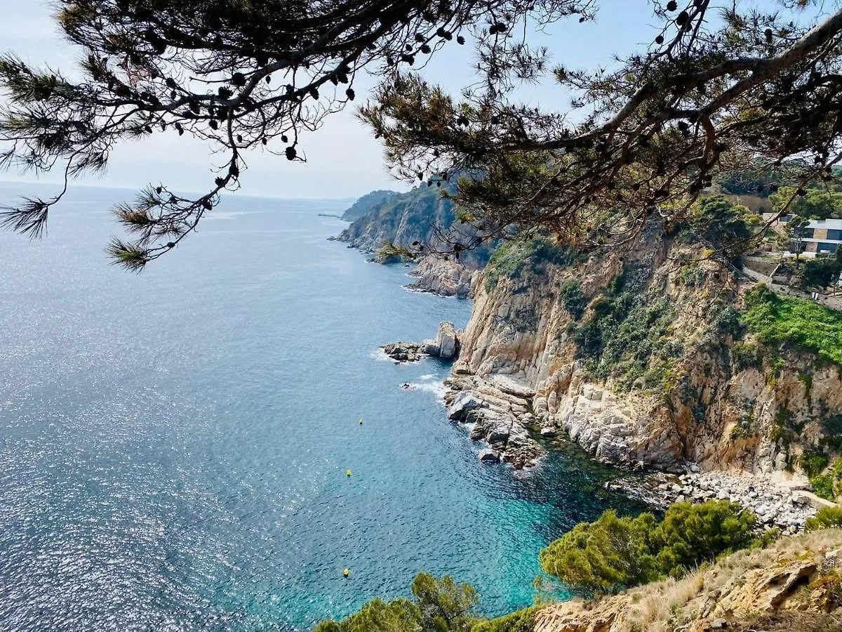 Vidabrava, Tossa Medievo, Apartamento A 150 M De La Playa Tossa de Mar Apartman